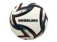 PELOTA DRIBBLING
