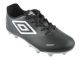 BOTIN UMBRO INSIGHT