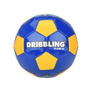 PELOTA DRIBBLING
