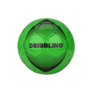 PELOTA DRIBBLING NRO 5