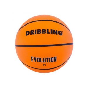 PELOTA DRIBBLING PEL BASKET EVOLUTION NRO 5